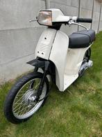 MOOIE 1983 HONDA SCOOPY SH50, Ophalen, 0 versnellingen, Klasse A (25 km/u), 49 cc