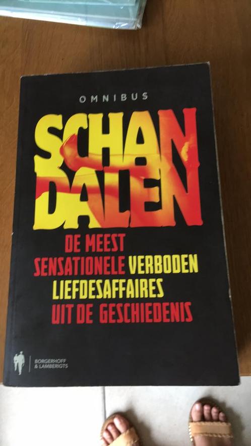 Omnibus schandalen, Boeken, Overige Boeken, Zo goed als nieuw, Ophalen of Verzenden
