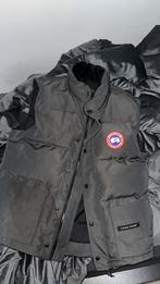 Veste canada goose, Neuf, Gris, Canada goose, Enlèvement