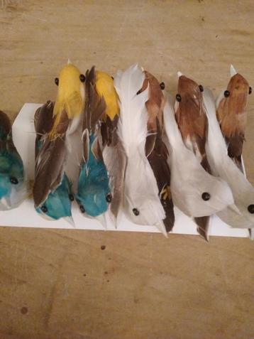 Oude vogeltjes met veertjes op stokje beschikbaar voor biedingen