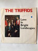 Les Triffides : love in bright landscapes(1985), CD & DVD, Vinyles | Rock, Comme neuf, 12 pouces, Pop rock, Envoi