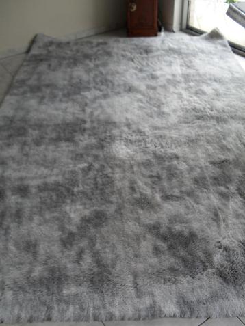 Groot fluffy tapijt, 200 cm ou plus, Gris, 200 cm ou plus, Comme neuf