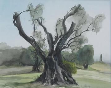 Roger Van Akeleyen (1948): Hof van Renoir (64 x 54 cm) beschikbaar voor biedingen