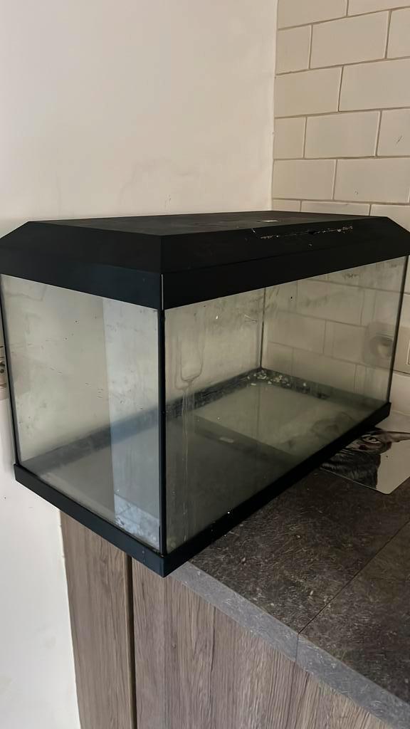 Visaquarium Juwel te koop, Dieren en Toebehoren, Vissen | Aquaria en Toebehoren, Gebruikt, Ophalen