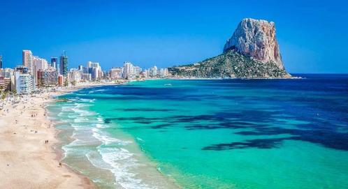 Costa Blanca , gezond bedrijf te koop., Zakelijke goederen, Overige Zakelijke goederen, Ophalen