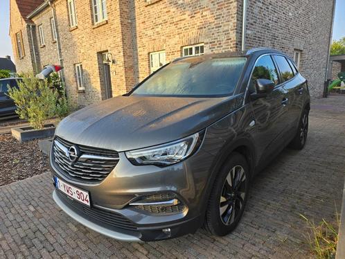 Opel Grandland X ecotec, Auto's, Opel, Particulier, Grandland X, ABS, Achteruitrijcamera, Adaptieve lichten, Adaptive Cruise Control