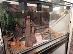 Groot terrarium met benodigdheden, Dieren en Toebehoren, Reptielen en Amfibieën | Toebehoren, Ophalen, Zo goed als nieuw