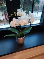 Orchidée en pot de fleurs, Maison & Meubles, Comme neuf, Enlèvement ou Envoi