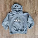 Sweater Minekraft, Zara, maat 116, Kinderen en Baby's, Kinderkleding | Maat 116, Jongen of Meisje, Trui of Vest, Ophalen of Verzenden