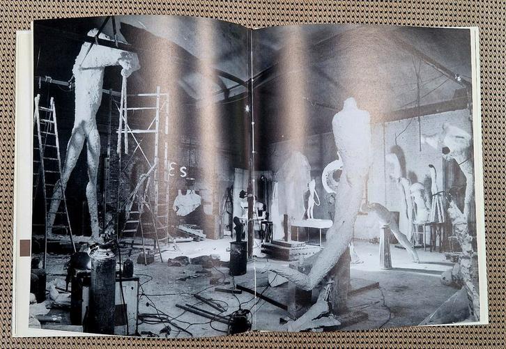 Johan Tahon (1998) - In Fluïdum (Gesigneerd!), Boeken, Kunst en Cultuur | Beeldend, Zo goed als nieuw, Beeldhouwkunst, Ophalen of Verzenden