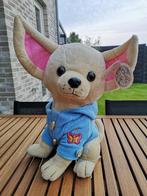 Knuffel Chihuahua 40 cm, Ophalen of Verzenden, Nieuw, Hond