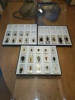 Collection entomologie insectes arachnides, Collections, Enlèvement ou Envoi, Comme neuf, Autres