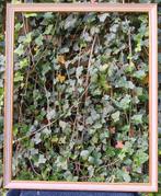 Klassieke Kader, Huis en Inrichting, Ophalen of Verzenden