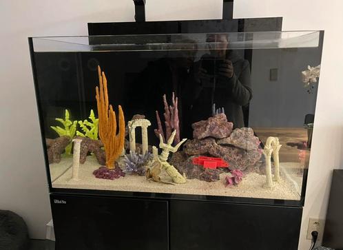 Red Sea E-max 260liter, Dieren en Toebehoren, Vissen | Aquaria en Toebehoren, Gebruikt, Leeg aquarium, Ophalen