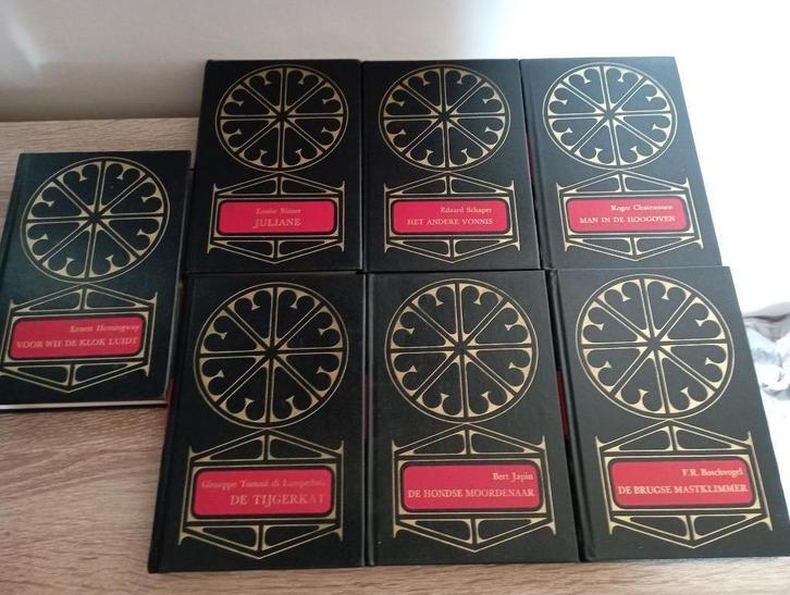 7 boeken uit de reynaert romanreeks, Boeken, Literatuur, Gelezen, Ophalen of Verzenden