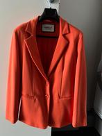 Vest Marella, Nieuw, Oranje, Ophalen of Verzenden, Jasje