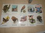 9 mooie boeken met mooie foto's en 1 andere boek, Ophalen, Zo goed als nieuw, Vogels