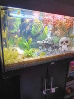 Juwel aquarium 125 L, Dieren en Toebehoren, Vissen | Aquaria en Toebehoren, Zo goed als nieuw, Ophalen