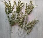 Kunst eucalyptustakken, Huis en Inrichting, Woonaccessoires | Droogbloemen, Ophalen of Verzenden, Zo goed als nieuw