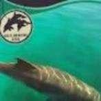 De poorten van Atlantis Patrick Lagrou 192 blz, Enlèvement ou Envoi, Comme neuf