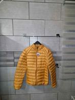 Veste jott homme taille S neuve avec étiquette, Kleding | Heren, Jassen | Winter, Geel, Nieuw, Ophalen of Verzenden, Jott