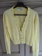 geel vestje maat 42, Vêtements | Femmes, Pulls & Gilets, Enlèvement ou Envoi, Comme neuf, Taille 42/44 (L), Jaune