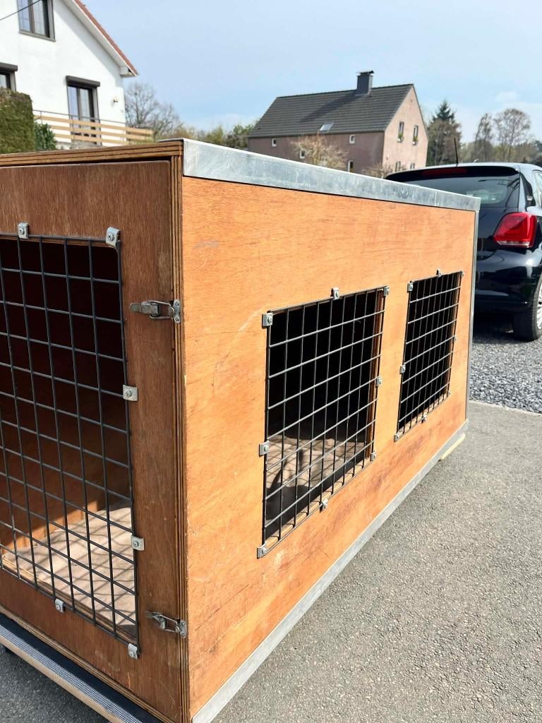 Cage de transport pour 2 chiens, Enlèvement, Utilisé