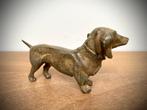 Chien Teckel en Bronze signé Pierre Chenet parfait état, Enlèvement ou Envoi, Bronze