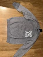 Sweater Louis Vitton, Kleding | Heren, Truien en Vesten, Verzenden, Nieuw, Maat 48/50 (M), Grijs