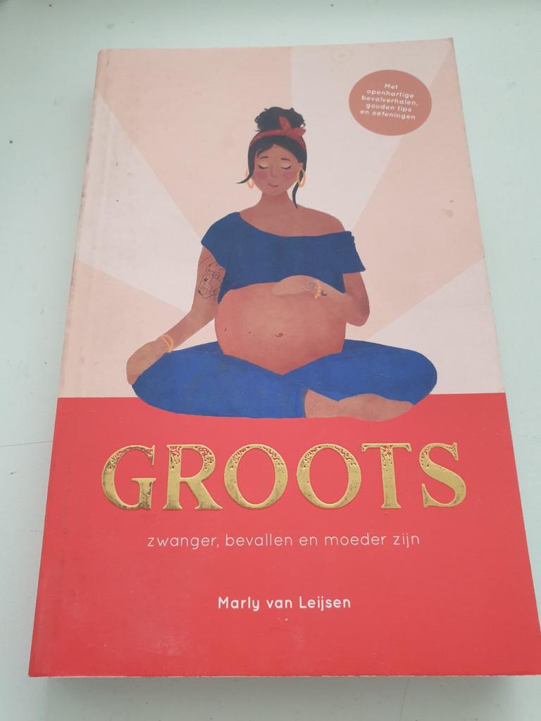 Groots, Boeken, Zwangerschap en Opvoeding, Zo goed als nieuw, Zwangerschap en Bevalling, Ophalen of Verzenden