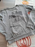 JBC grijs trui'tje 158, Kinderen en Baby's, Kinderkleding | Maat 158, Trui of Vest, Ophalen of Verzenden, Zo goed als nieuw, JBC.