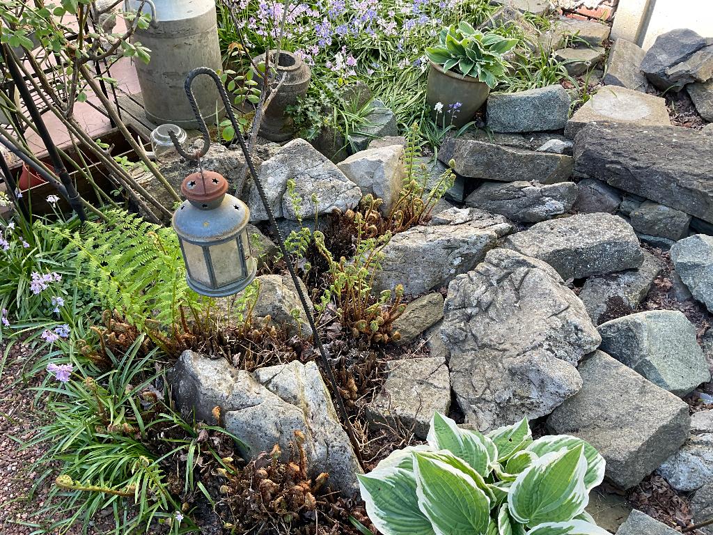 ‘Stenen voor rotstuin, Ophalen, Overige materialen, Gebruikt, Overige typen