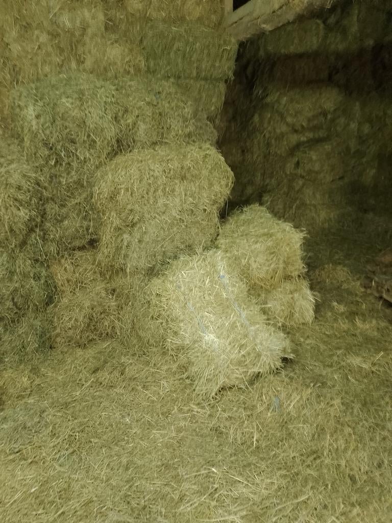 Petits ballots de foin, Enlèvement