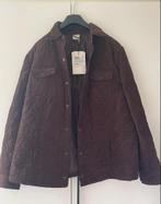 Mayerline Jas, Kleding | Dames, Jassen | Winter, Ophalen, Mayerline, Bruin, Maat 46/48 (XL) of groter