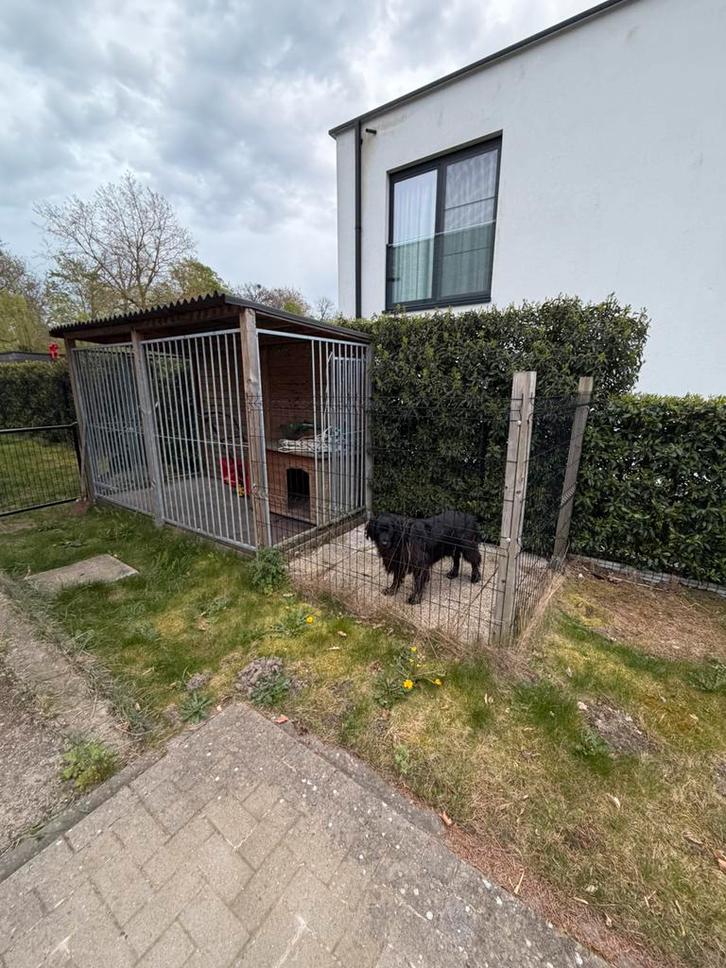 Hondenhok, Dieren en Toebehoren, Hondenhokken, Gebruikt, Hondenhok, 100 cm of meer, 110 cm of meer, Ophalen