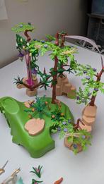 Playmobil elfen 9132, Kinderen en Baby's, Speelgoed | Playmobil, Ophalen of Verzenden, Zo goed als nieuw, Complete set