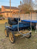 ENKELSPAN MARATHONWAGEN, Marathonwagen, Paard of Pony