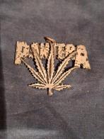 Panthère 1992, Enlèvement