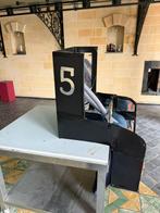 2 forfaits de carnaval : sièges pour les montagnes russes, Vêtements | Femmes, Costumes de carnaval & Vêtements de fête, Enlèvement