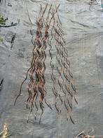 Tuteurs tomates, Jardin & Terrasse, Plantes | Jardin, Enlèvement