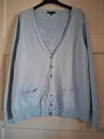 Tommy Hilfiger vest lichtblauw maat XXL (valt als M/L), Kleding | Dames, Maat 38/40 (M), Tommy hilfiger, Zo goed als nieuw, Verzenden