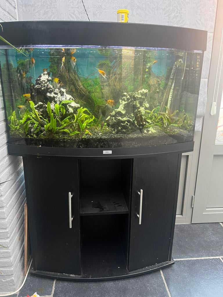 Juwel aquarium compleet + kast + vissen, Dieren en Toebehoren, Decoratie, Ophalen of Verzenden, Zo goed als nieuw, Verwarming