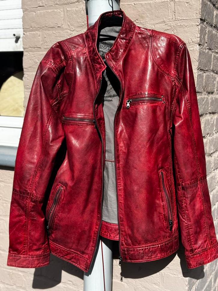 Maddox XXL leren jas, Kleding | Heren, Jassen | Zomer, Zo goed als nieuw, Overige maten, Overige kleuren, Ophalen of Verzenden