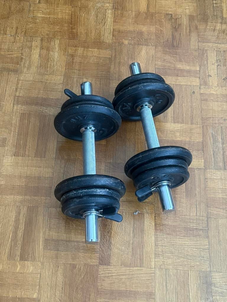 2 Haltères fitness 20 kg, Sports & Fitness, Équipement de fitness, Enlèvement ou Envoi, Utilisé, Bras, Haltère