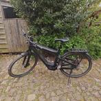 E-bike Whistle urban Carbon c.9, Ophalen