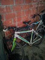 Fietsen, Fietsen en Brommers, Ophalen