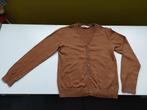 H&M gilet jongen mt 134/140, Gebruikt, Trui of Vest, H&M, Ophalen of Verzenden