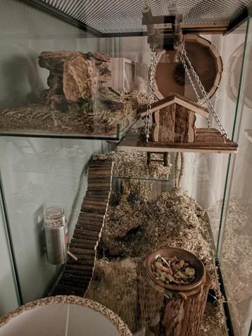 Gerbil Terrarium 60x40x100 – Uitgebreid Speelverblijf beschikbaar voor biedingen