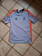 Juventus Adidas-shirt, Nieuw, Ophalen of Verzenden