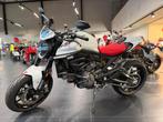 Ducati Monster Plus NEW, Motoren, Motoren | Ducati, 2 cilinders, Bedrijf, Naked bike